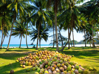 240_F_294391960_xlJpFco3IREGztNRTalbJVrE7fp3f0FT